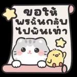 แมวมาร์คัส V.3 : HNY