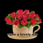 best wish for you