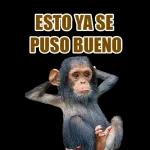 Yo Tu culito