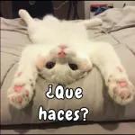 No me digas