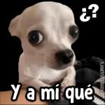 Rápido patricio, anota eso