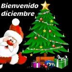 Buen día ya huele a NAVIDAD 