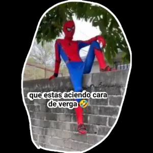 1zaGml