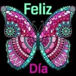 Gracias! Gracias! Gracias!