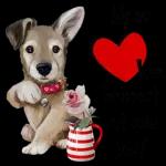 good night