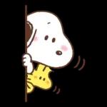 PEKO醬☆冬季繽紛