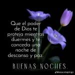 A sus órdenes patrona