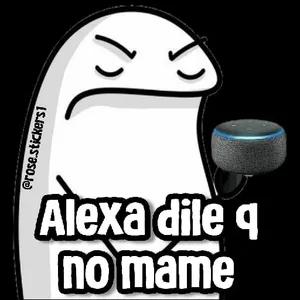 C1XkNE