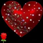 بوت
تقبل الله من
ومن