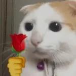 Animais com Emoji de Flor 🌹