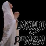 Seal kafadan 27PY INDYD p"NeN