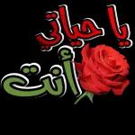 الزهور والحب لليوم
