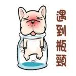 去哪都好，你在的地方就是遊樂園