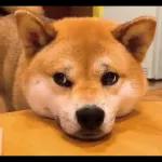 Qué se sentirá ser feo?