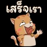 ต่อสิ่งที่ไม่จำเป็นในชีวิตเรา 