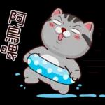 人生海海，愛與期待。