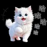 白色的貓尤其可愛