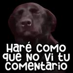 potaxuee