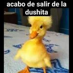Tengo chisme