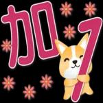 可愛柯基 大字超實用日常生活用語