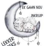 Lekker slaap...