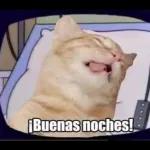 ¡Buenas noches!