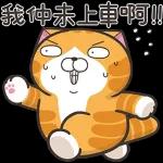 白爛貓家族☆5週年☆紀念貼圖