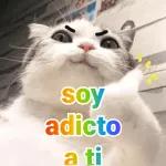 me gustas