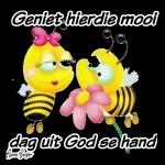 Jy is die beste