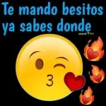 te amo
