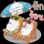 ร้อนจะตาย🥵🥵