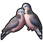ایش ذا؟