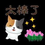 可愛花貓-全年實用問候語貼