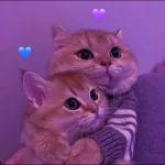 i hope i make you as happy as you make me