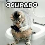 variado 