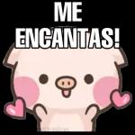 @lexa Mejor callate!