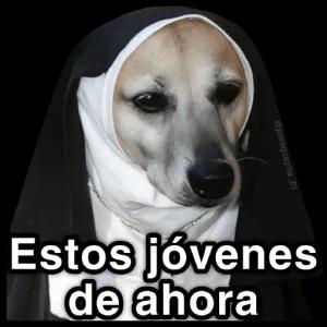 Estos jovenes de ahora - getsticker.com