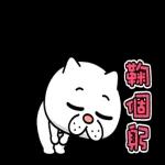 樸實無華的動作★煩人的貓咪