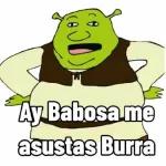 👉🏻👈🏻