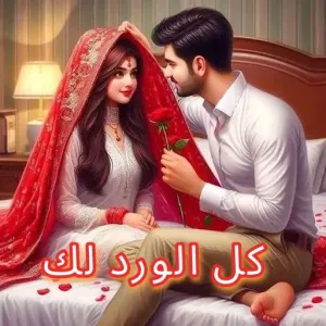W6oL7v