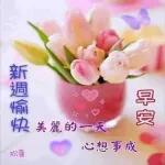 清晨美好，早安您好！