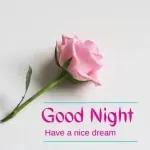 Good morning and goodnight