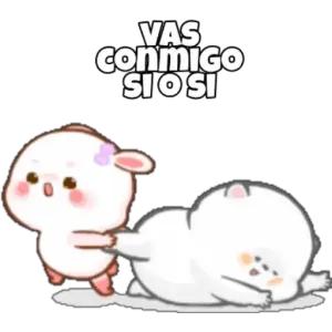 ikddcby