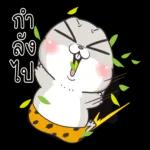 ฝันดีนะ😴 😴