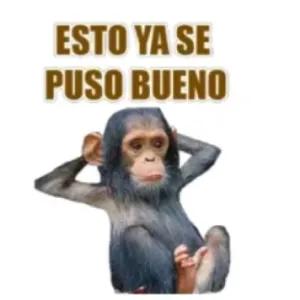 DjSvYG