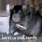 Mi ropa es ancha para que quepa mi ego y yo