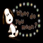 What are you doing now❓