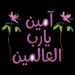 🤣🤣🤣🤣🤣🤣