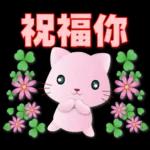 可愛粉粉貓-每日常用語