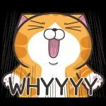 白爛貓11☆超級萌☆